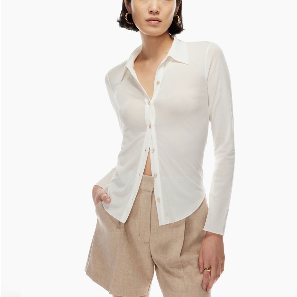 Aitzia sheer blouse